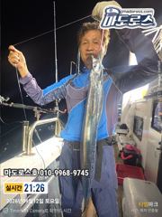 갈치한치조황++ - (여수왕갈치출조점) 갈치조황 ^^ ..먼일이여