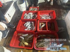 9월12일 무늬오징어 팁런조과입니다 사진