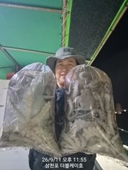 삼천포 문어 대박조황! 주간반, 야간반 매일출조!