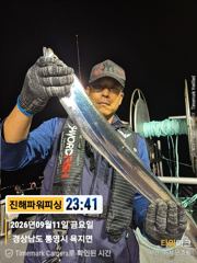 [갈치/텐빈/텐야]긴휴식끝!!~2.5~3지오버까지 쿨러조황[월.화]예약가능