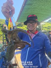 통영 송현호))돌문어 실시간 느나 느나 마리수~ 사진