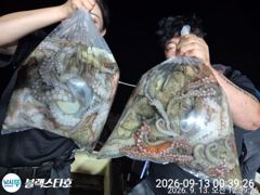 토요일 야문 오늘도 장원30수ㅇ숸