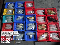 [통영] [팁런] 감자는,가라,오늘도 씨알로"굿.굿,굿""(일요일,소수인…