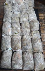 9월12일 굿 대박 조황...군산 홈런호 야간 문어 마무리 조황…