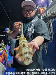 무늬오징어낚시 k급도 나와주네요!