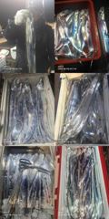 [부산] [삼호낚시] 9월 "갈치" 첫 조황이며, 출조합니다(14일).