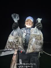 삼천포 문어조황! 주간반, 야간반 매일출조!