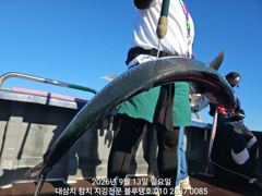 13/일, 오전타임 대삼치들 캐스팅 게임 조황!
