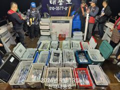 13일 입항, 내만갈치 꾸준하게 잡았습니다. 오늘 예약가능.