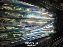 9월13일입항 먼바다갈치 조황소식입니다