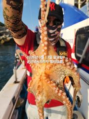 13일, 주간문어 가을시즌~싸이즈 좋아진 문어들~~실시간~군산 챔피언호