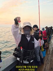 13일, 군산쭈꾸미~ 싸이즈도 점점~물때 상관없는 조황~오전반 굿조황~군산낚시프라자 월명호