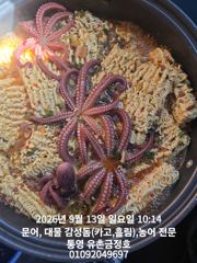 통영 금정호 오전문어선상 마릿수 좋습니다 내일 오후선상 자리있어요