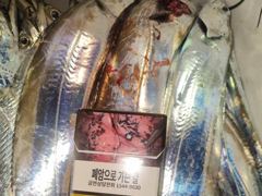 내만갈치씨알좋아진3지급까지쿨러만당오늘고~