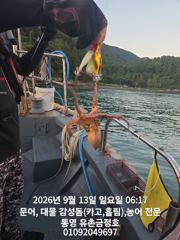 통영 금정호 오전문어선상 마릿수 좋습니다 내일 오후선상 자리있어…