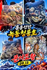 <고흥녹동> 청룡호 13일 우당탕 조황소식!!