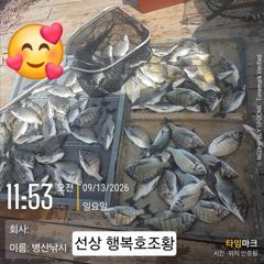 [고성] 병산 9/13 감성돔38외 엄청마리수 선상배 및선외기 흘림조… 사진