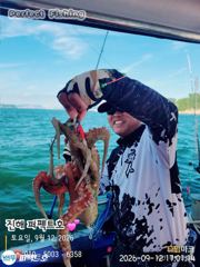 싸이즈 굳 돌문어 쭉~욱