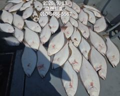 *군산그랜드호 쭈꾸미 출조 내일 여유자리 있습니다!