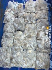 [군산] 9/14(월)쭈꾸미 출조합니다 (군산킹스타호에서~예약가능합니다