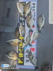 [마산] 진동(광암호)감성돔.문어출조합니다