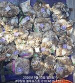먹물조황 글만 보기