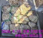 먹물조황 글만 보기