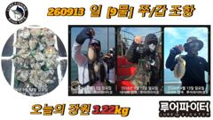 루어파이터호-9/13 일 [9물] 쭈꾸미/갑오징어 조항 입니다. 사진