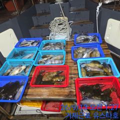 [거제] (무늬오징어) 사이즈 좋아집니다! 초보 분들도 재미가 있습니다~… 사진