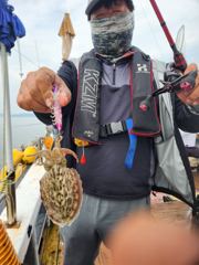 9월13일 영흥도 ★강바다피싱★ 백호 11인승 조황 ★