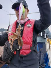 2026.09.13. 일요일 장고항 군자호 오전배 조황