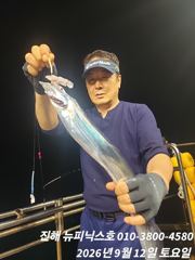 12일 텐빈 갈치 쿨러조황 입니다 월,화 출항 자리여유 사진