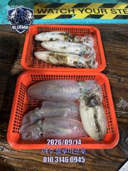 9월14일 팁런조황!!