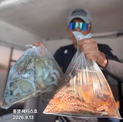 통영] 문어 사량도 굴어장 조황 13일(일) 통영 메티스호