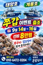 태양호 글만 보기