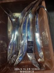 [통영] 대박...대박입니다. 초저녁부터 꾸준한 입질이 사고를 쳤습니다.…