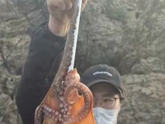 9/14 군산나래호(킹덤) 주간문어 실시간입니다 내일 자리 여유있습니다