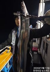[진해] 준내만3지4지씨알급손맛끝장철수조황(오늘출항예약가능)