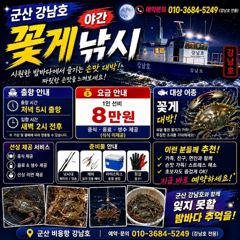 쭈꾸미 ,야간꽃게 오후쭈꾸미 먼바다생미끼 출조 합니다