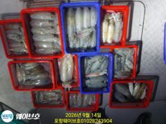 13일웨이브호1키로400무늬팁런