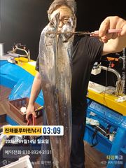 준내만갈치)대치들이 오늘 좀 보이네요(예약가능합니다)