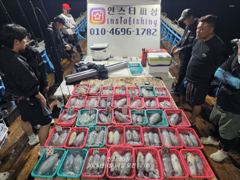 강구 인스타피싱 ~~ 무늬오징어 무시가 제법 나왔네요.. 오늘 월요일부터 쭈~욱~ 예약가능합니다.. 먹물폭탄 맞으러출동~~
