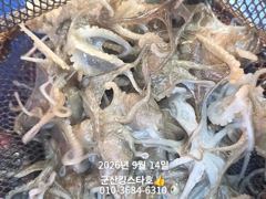 ■군산킹스타호(9/14)■쭈꾸미 실시간(내일도 출조합니다 ~예약가능