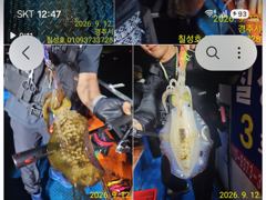 무늬오징어 손님급구^^무시.고구마 뽑으러 가실분 ~~~^^