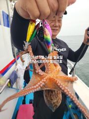 14일, 해볼만한 문어~좋은 싸이즈가 낚이는 군산문어들~10명출조~내일도 갑니다~군산 챔피언호
