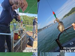 쭈꾸미 호황!! 삼천포 뉴펄스호