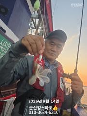 군산킹스타호(9/14) 소수인원출조 쭈꾸미 마무리조황~