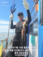 통영 금정호 오후문어선상 마릿수 손맛 시작합니다 내일오전 자리있어요
