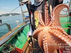 [진해] 14일세진호/돌문어2kg.중치들마릿수~화.가능~ 사진