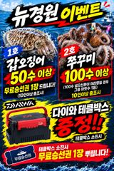 갑오징어 쭈꾸미 마릿수 이벤트 시작 내일 출조확정입니다 자리여유